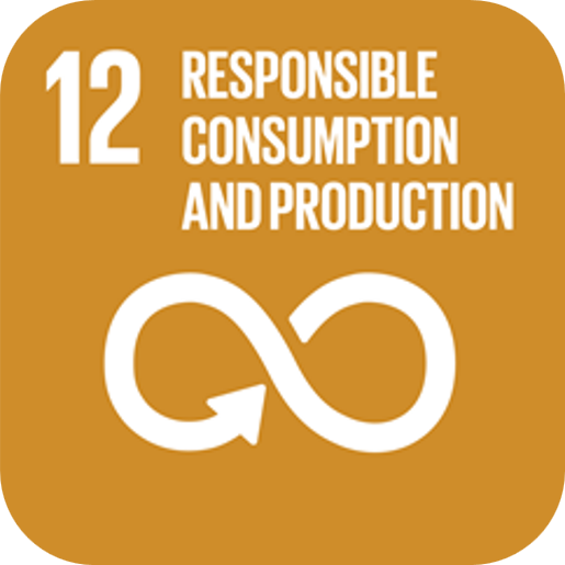 SDG 12