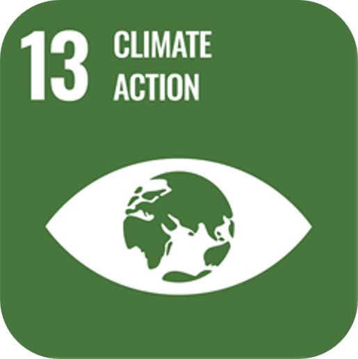 SDG 13