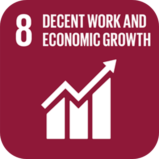 SDG 8